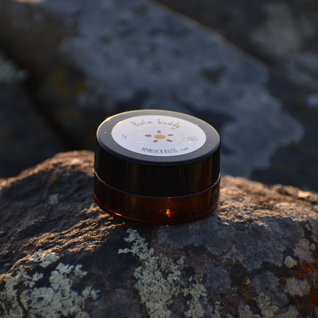 Balm buddy 5g – pot